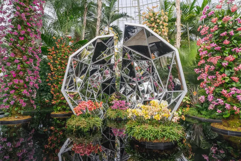 The New York Botanical Garden’s colorful orchid show returns for 19th year