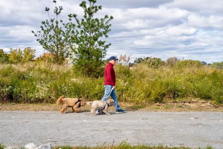 First section of landfill-turned-park project opens at Staten Island’s Freshkills Park