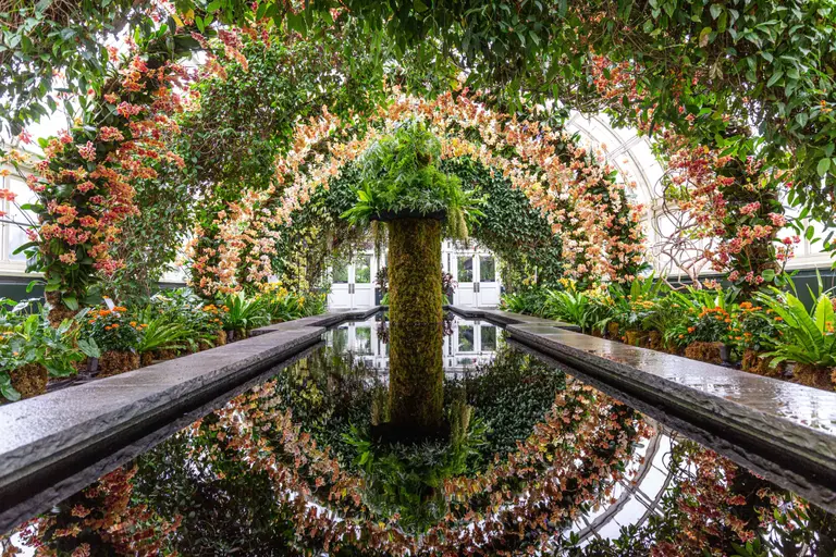 Step into a ‘Kaleidoscope’ of color at this year’s New York Botanical Garden Orchid Show